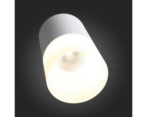 ST100.502.10 Светильник потолочный Белый LED 1*10W 3000K 780Lm Ra>80 120° D78xH135 170-240V Накладные светильники
