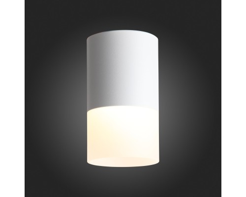 ST100.502.10 Светильник потолочный Белый LED 1*10W 3000K 780Lm Ra>80 120° D78xH135 170-240V Накладные светильники