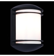 SL076.401.01 Светильник уличный настенный ST-Luce Черный/Белый E27 1*60W AGIO