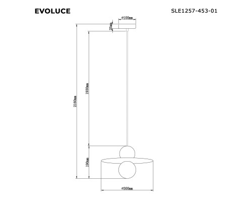 SLE1257-453-01 Светильник подвесной Черный/Белый G9 1*5W 4000K RIZZ