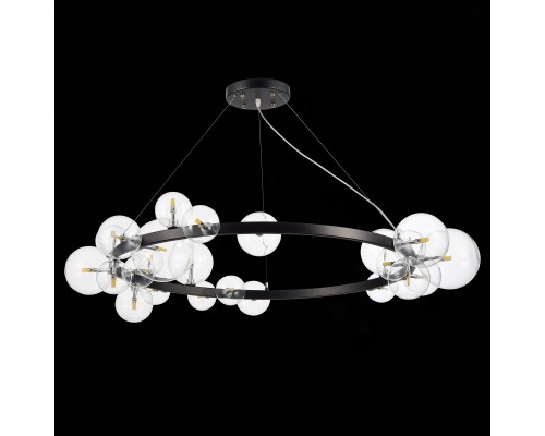 SL1165.403.24 Светильник подвесной ST-Luce Черный/Прозрачный G4 24*5W NECTON