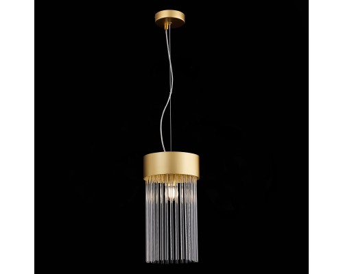 SL1225.203.01 Светильник подвесной ST-Luce Золотистый/Золотистый, Прозрачный E27 1*60W CONTATTO