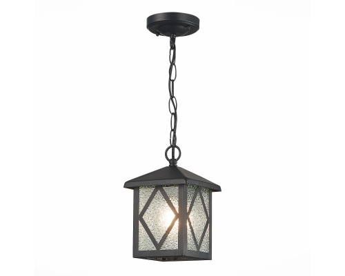 SL084.403.01 Светильник уличный подвесной ST-Luce Черный/Черный, Прозрачный E27 1*60W LORNE