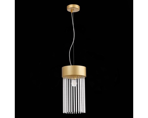 SL1225.203.01 Светильник подвесной ST-Luce Золотистый/Золотистый, Прозрачный E27 1*60W CONTATTO