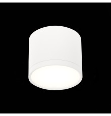 ST113.542.09 Светильник потолочный Белый LED 1*9W 4000K 702Lm Ra>90 120° IP20 D88xH75 170-240V Накладные светильники