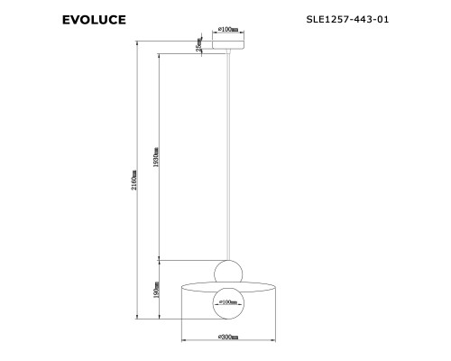 SLE1257-443-01 Светильник подвесной Черный/Черный G9 1*5W 4000K RIZZ