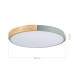SLE201372-01 Светильник потолочный Серый, Светлое дерево/Белый LED 1*40W 3000K/4000K/6000K DELIA