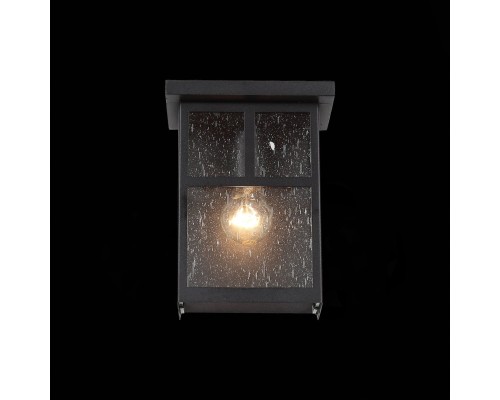 SL079.401.01 Светильник уличный настенный ST-Luce Темный кофе/Прозрачное кракелированное стекло E27 GLAZGO