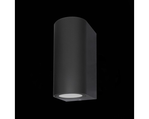 SL9001.401.02 Светильник уличный настенный ST-Luce Черный/ GU10 2*35W BORGO