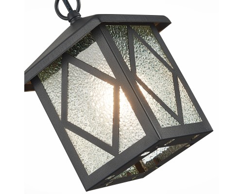 SL084.403.01 Светильник уличный подвесной ST-Luce Черный/Черный, Прозрачный E27 1*60W LORNE
