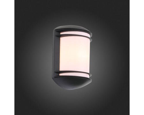 SL076.401.01 Светильник уличный настенный ST-Luce Черный/Белый E27 1*60W AGIO