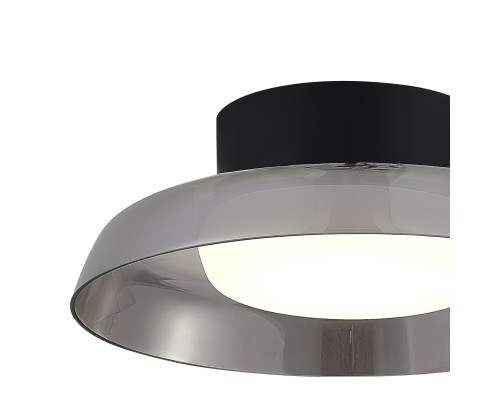 SL6019.412.01 Светильник потолочный ST-Luce Черный/Дымчатый, Белый LED 1*36W 3000K FORAY