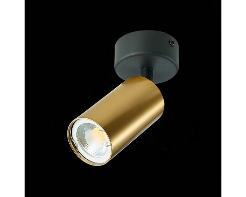 ST303.202.01 Потолочный светильник Золотистый GU10 1*50W  IP20 D70xH168 220V Без ламп Накладные светильники