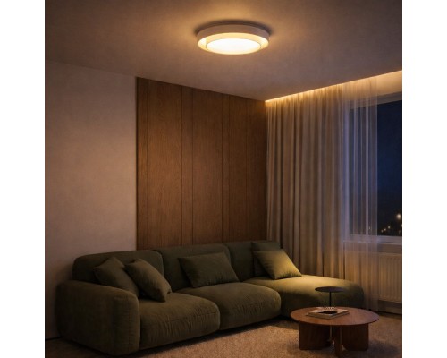 SLE6009-502-01 Светильник потолочный Белый/Белый LED 1*50W 3000K/4000K/6000K CROSBY