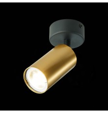 ST303.202.01 Потолочный светильник Золотистый GU10 1*50W  IP20 D70xH168 220V Без ламп Накладные светильники