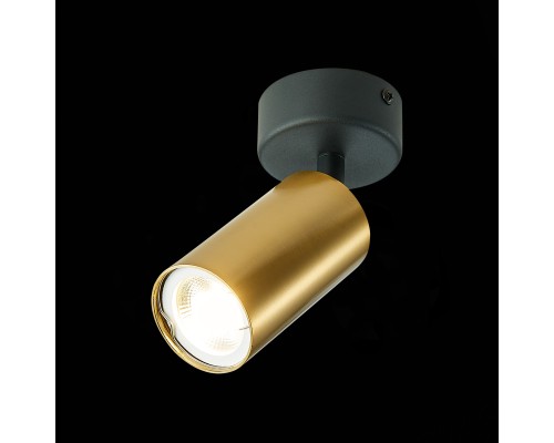 ST303.202.01 Потолочный светильник Золотистый GU10 1*50W  IP20 D70xH168 220V Без ламп Накладные светильники