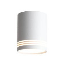 ST101.502.12 Светильник потолочный Белый LED 1*12W 3000K 936Lm Ra>80 120° IP20 D79xH100 170-240V Накладные светильники