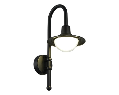 SL9512.401.01 Светильник уличный настенный ST-Luce черный/Прозрачный LED 1*10W 4000K PROCHE