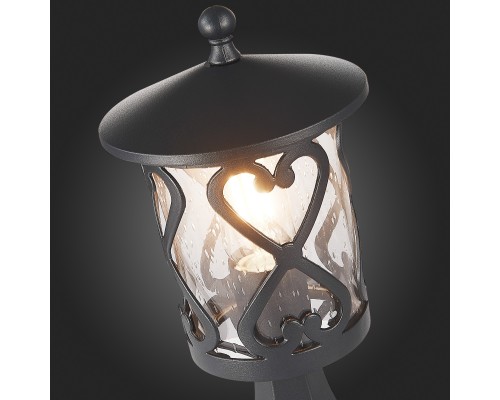 SL085.405.01 Светильник уличный наземный ST-Luce Черный/Черный, Прозрачный E27 1*60W LORNE