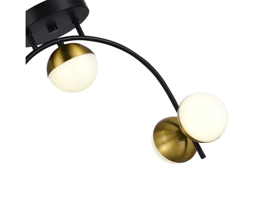 SLE6500-402-04 Светильник потолочный Черный,Золотистый/Белый LED 4*8W 4000K AARNIO