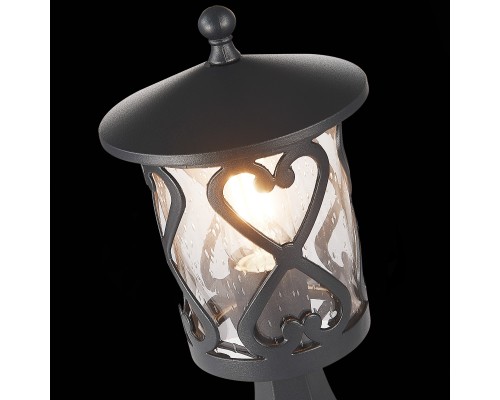 SL085.405.01 Светильник уличный наземный ST-Luce Черный/Черный, Прозрачный E27 1*60W LORNE
