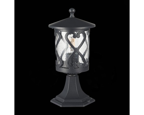 SL085.405.01 Светильник уличный наземный ST-Luce Черный/Черный, Прозрачный E27 1*60W LORNE