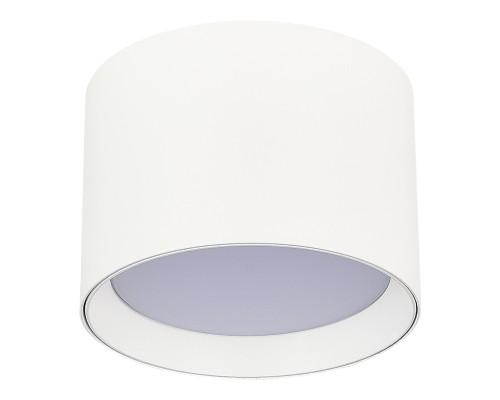 ST163.502.01.02 Светильник потолочный Белый GX53 1*50W IP20 D85xH60 220V Без ламп Накладные светильники