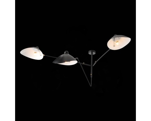 SL305.402.03 Люстра потолочная ST-Luce Черный/Черный, Белый E27 3*60W SPRUZZO