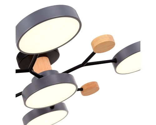 SLE6006-702-05 Светильник потолочный Серый/Серый LED 5*12W 3000K/4500K/6000K FAEMA