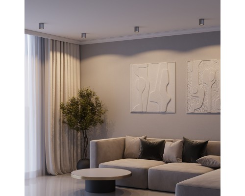 Светильник потолочный светодиодный Primo 12W 4000K титан 25116/LED