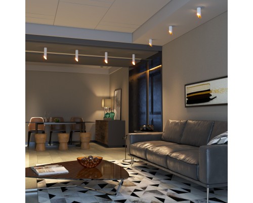 Накладной потолочный светильник DLN115 GU10