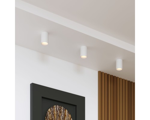 Накладной потолочный светильник 25011/01