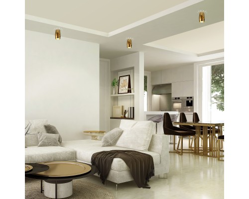 Накладной потолочный светильник DLN104 GU10