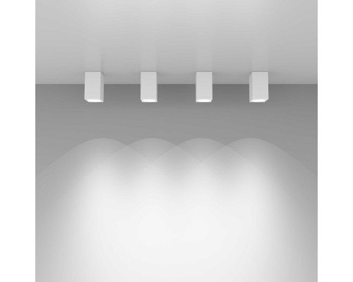 Накладной потолочный светильник 1085 GU10 WH белый матовый