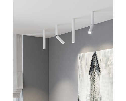 Накладной поворотный светодиодный светильник с антибликовой решеткой Pika 25029/LED 6W 4200K белый