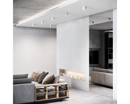 Накладной потолочный светильник 25034/LED