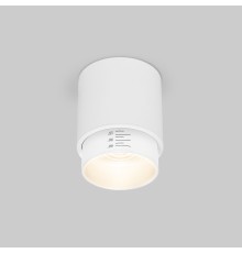 Потолочный светодиодный светильник Cors 25032/LED 10W 4200K белый