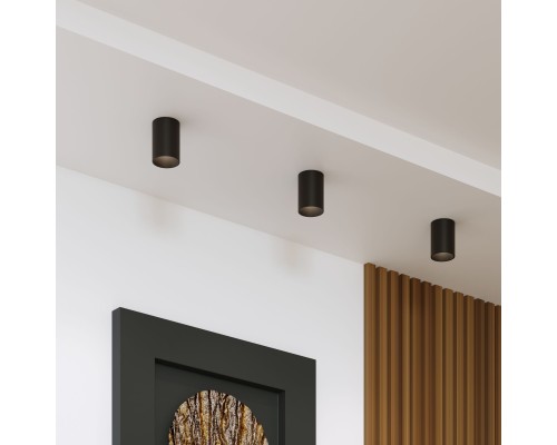 Накладной потолочный светильник 25011/01