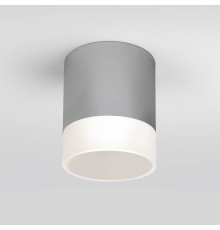 Уличный потолочный светильник Light LED 2107 IP54 35140/H серый