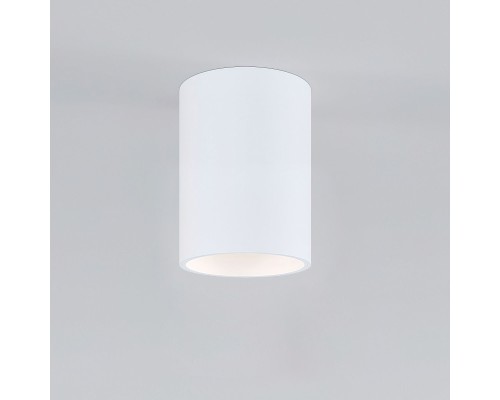 Накладной потолочный светильник 25011/01