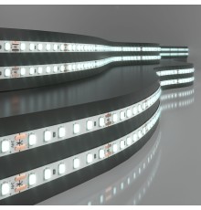 Светодиодная лента 24 В 8 Вт/м 120Led/м 2116 IP20, холодный белый 6500K, 5 м 2116 24V 120Led 8W IP20