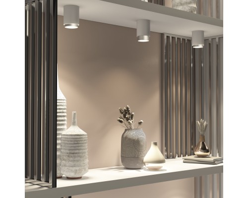 Потолочный светодиодный светильник Cors 25032/LED 10W 4200K белый/серебро