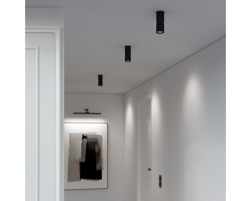 Светильник потолочный светодиодный 12W 4000К чёрный 25048/LED