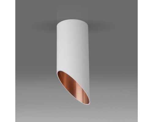 Накладной потолочный светильник DLN114 GU10