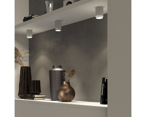 Потолочный светодиодный светильник Cors 25032/LED 10W 4200K белый