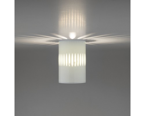 Накладной точечный светильник с подсветкой DLS026