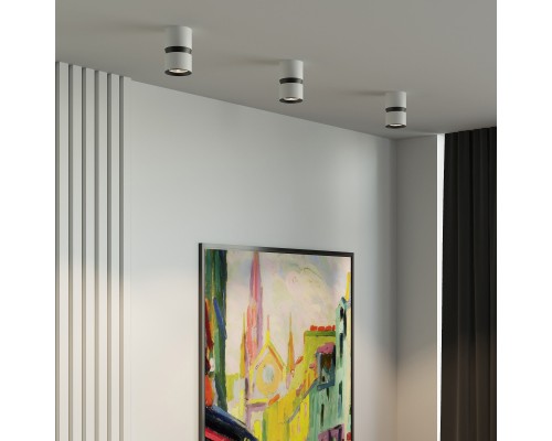 Светильник потолочный светодиодный 12W 4000К белый/чёрный 25049/LED