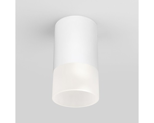 Уличный потолочный светильник Light LED 2106 IP54 35139/H белый