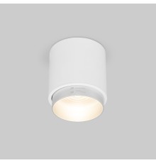 Потолочный светодиодный светильник Cors 25032/LED 10W 4200K белый/серебро