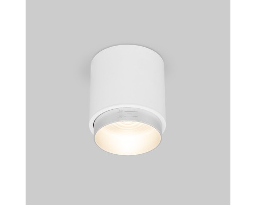 Потолочный светодиодный светильник Cors 25032/LED 10W 4200K белый/серебро